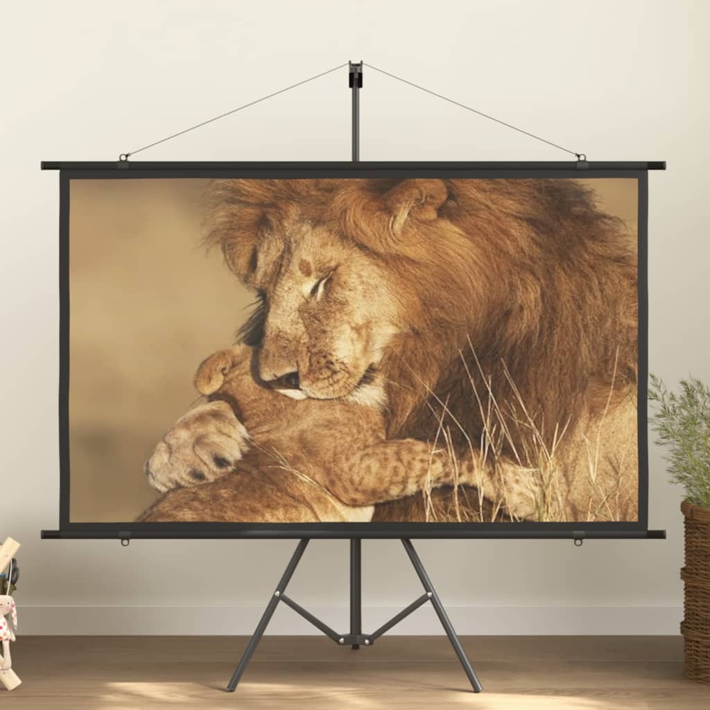 vidaXL projection screen Home Theater Screen Pull-down Projector Screen 4:3