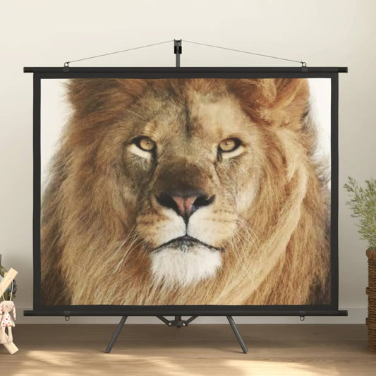 vidaXL projection screen Home Theater Screen Pull-down Projector Screen 4:3