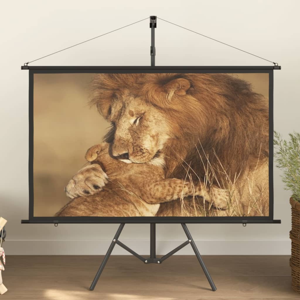 vidaXL projection screen Home Theater Screen Pull-down Projector Screen 4:3