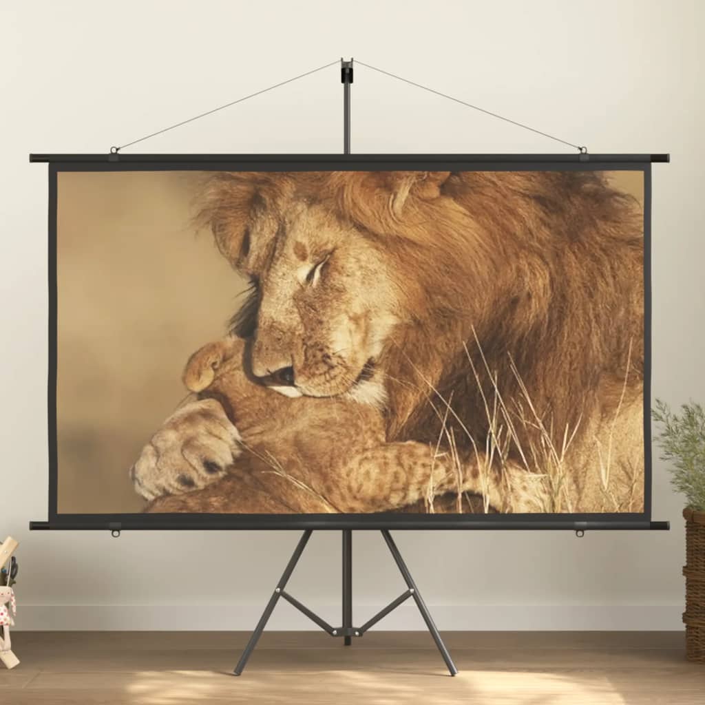 vidaXL projection screen Home Theater Screen Pull-down Projector Screen 4:3