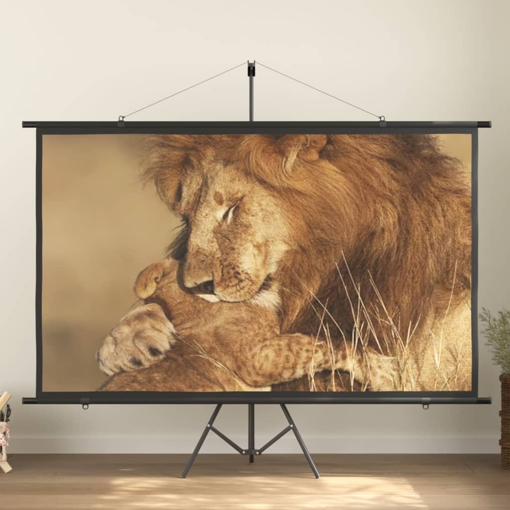 vidaXL projection screen Home Theater Screen Pull-down Projector Screen 4:3