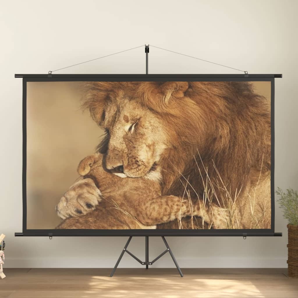 vidaXL projection screen Home Theater Screen Pull-down Projector Screen 4:3