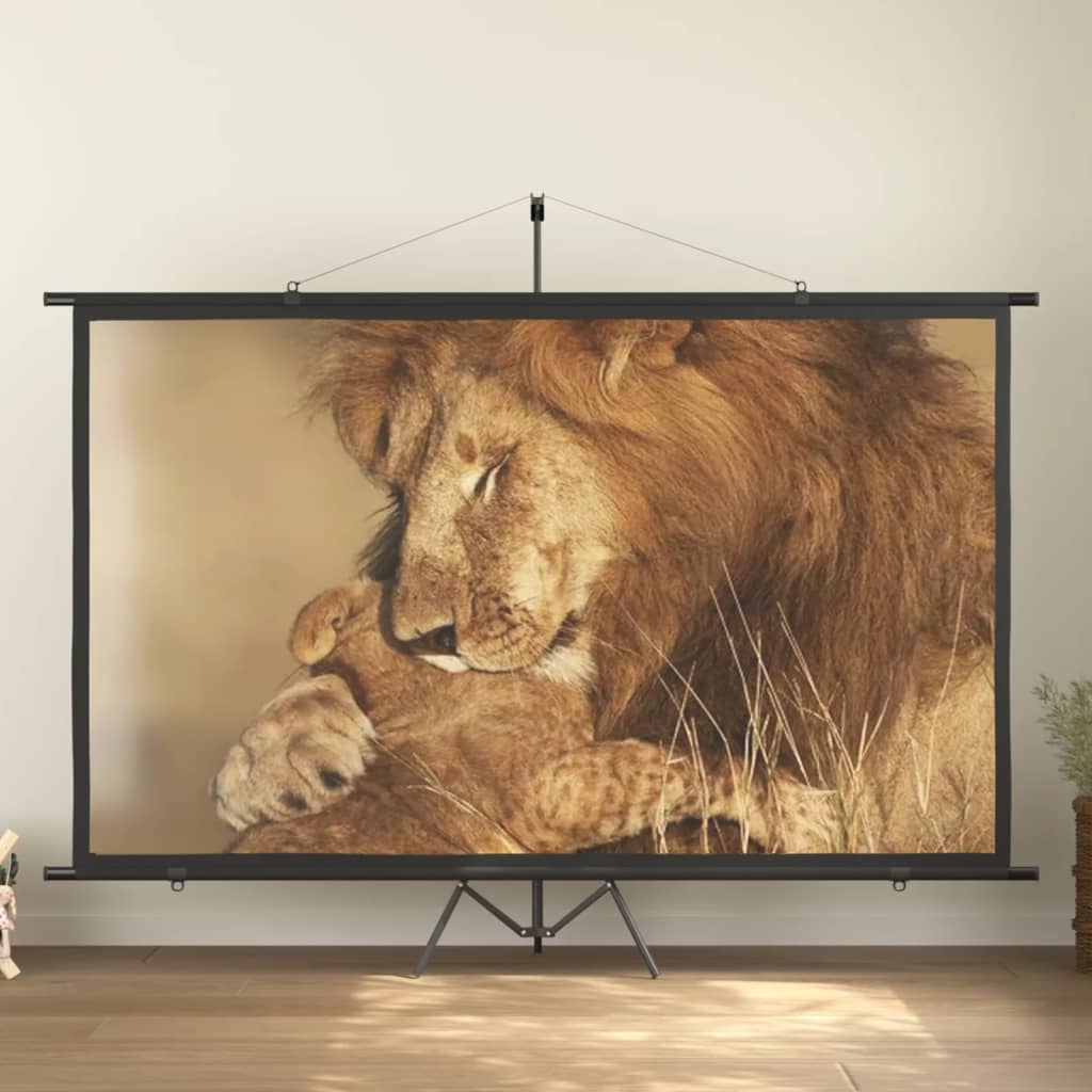vidaXL projection screen Home Theater Screen Pull-down Projector Screen 4:3
