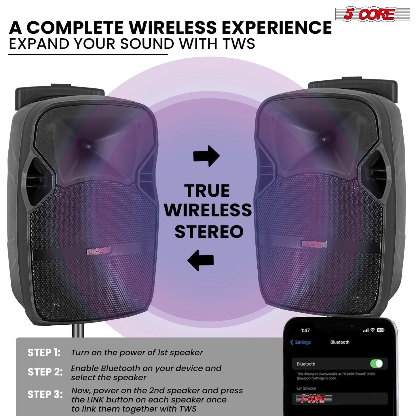 5Core 10 inch PA Portable Bluetooth Party Speaker Karaoke Boombox + 2 Wireless Mics 2 PCS